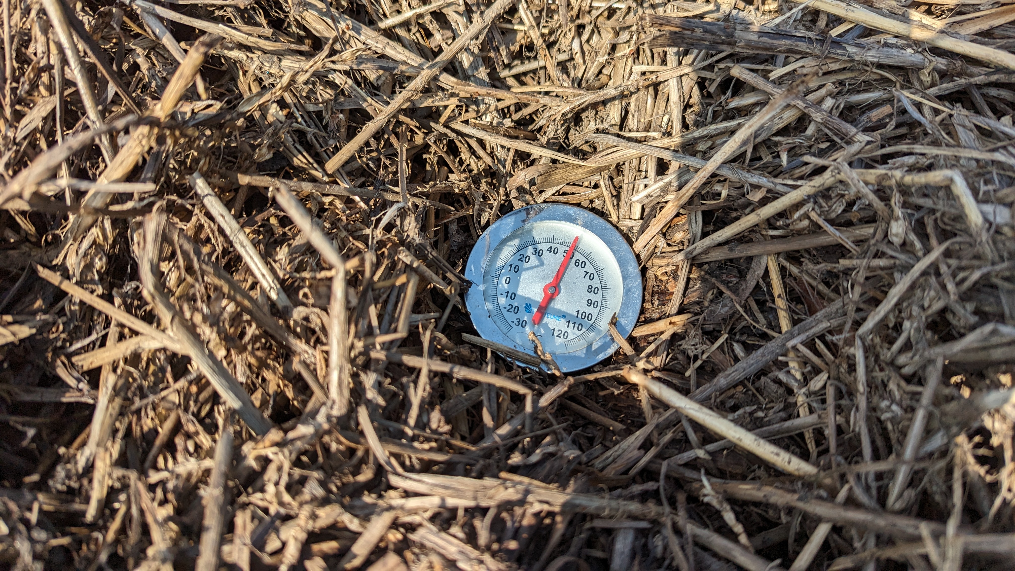 50 Grad Celsius im Kompost
