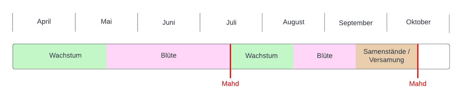 Diagramm zweischürige Mahd